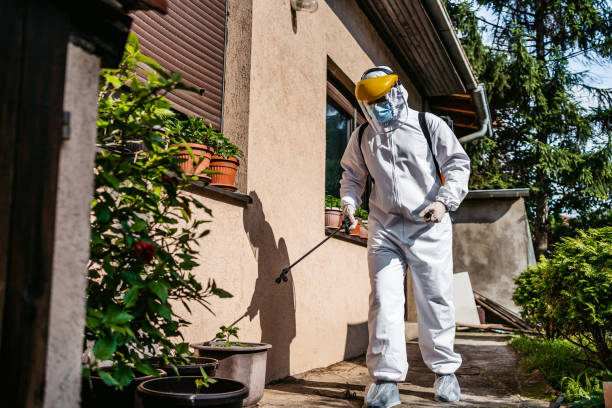 Best Best Pest Control Companies  in Salina, UT