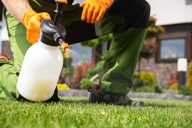 Best Pest Control Near Me  in Salina, UT