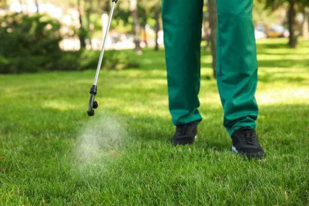 Best Residential Pest Control  in Salina, UT