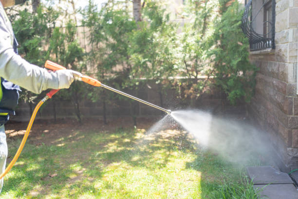 Best Local Pest Control Services  in Salina, UT